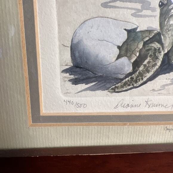 Diane Krumel “Turtle Hatching” Etch Art – Signed & Numbered 440/500 – Framed - Picture 4 of 5
